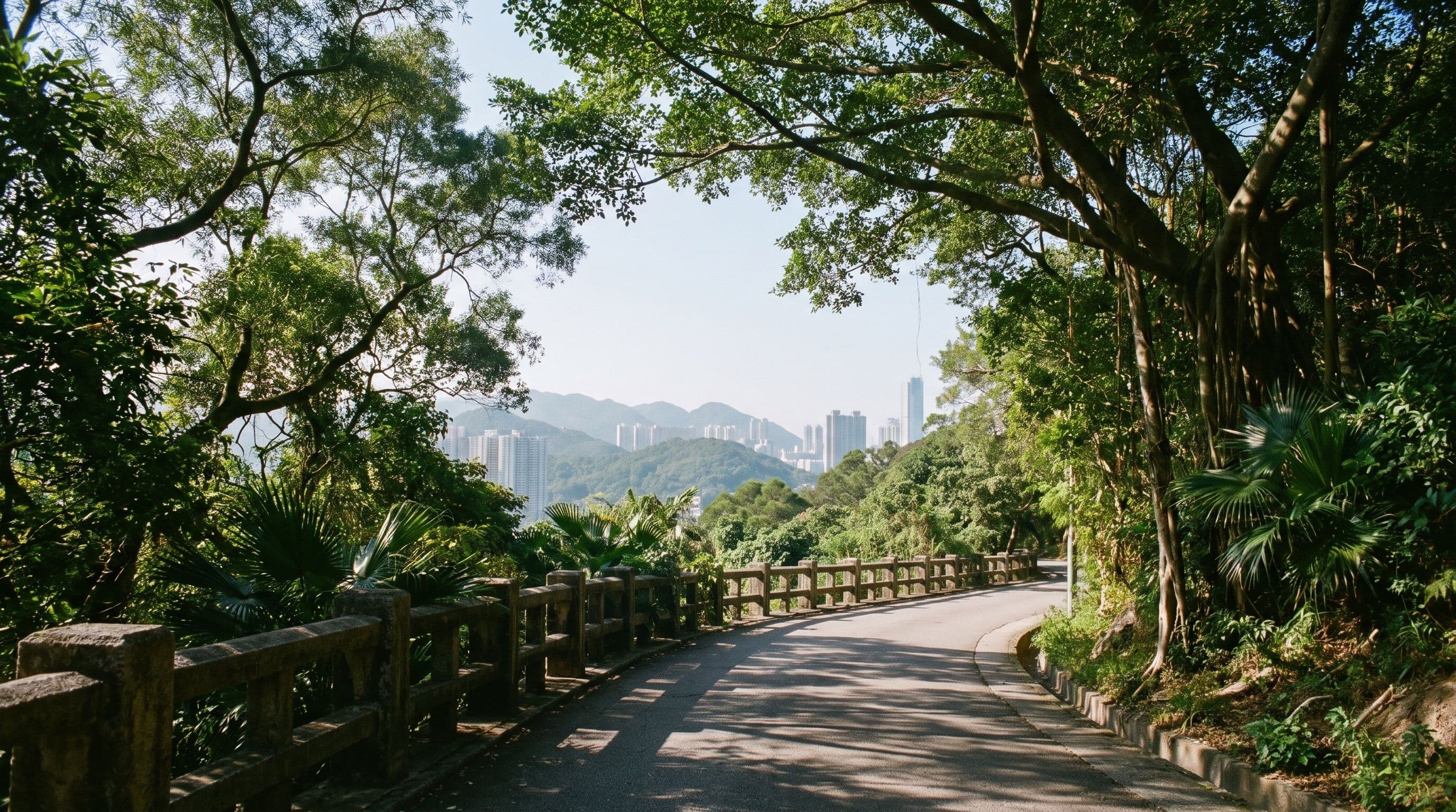 Hiking in Hong Kong for Beginners: 5 Easy Trails to Start With